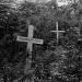 Joe_Timber,_Rural_Cemetery_Berlin_Mountain_near_Berlin,_New_York,_Summer_1971