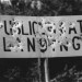 Public_Landing__Lee_Landing,_Louisiana_September_1988