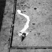 Abandoned_Ice_Cream_Cone_During_Power_Failure_14th_Street_and_2nd_Avenue,_New_York_City_14_August_2003