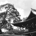 Shinto_Shrine_Tokyo,_Japan_May_21,_1996_1