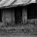 Abandoned_House_along_FM_16_near_Winona,_Texas_1972