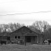 Cattle_and_Abandoned_House_along_FM_16_near_Winona,_Texas_1972